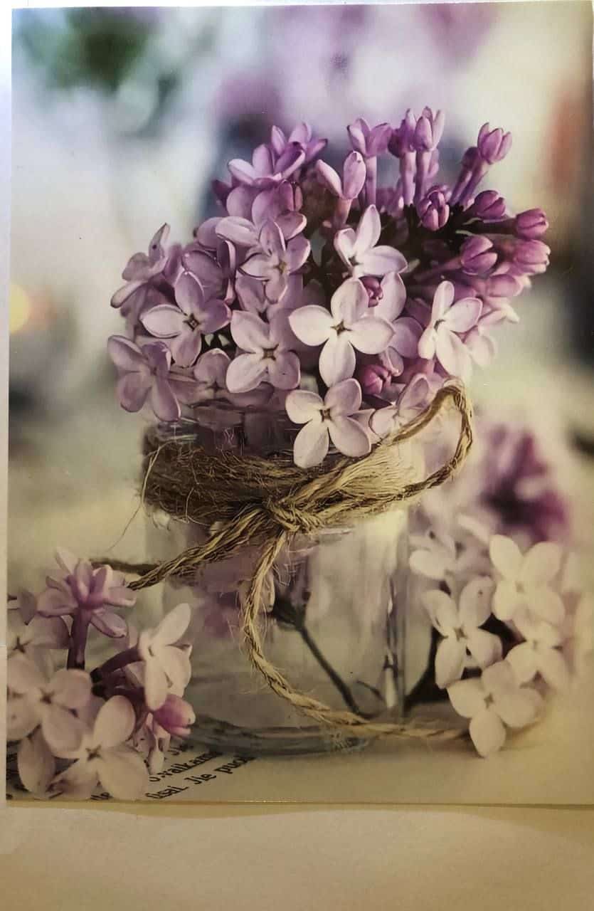 چاپ کارت تبریک نوروز و کارت پستال سال نو